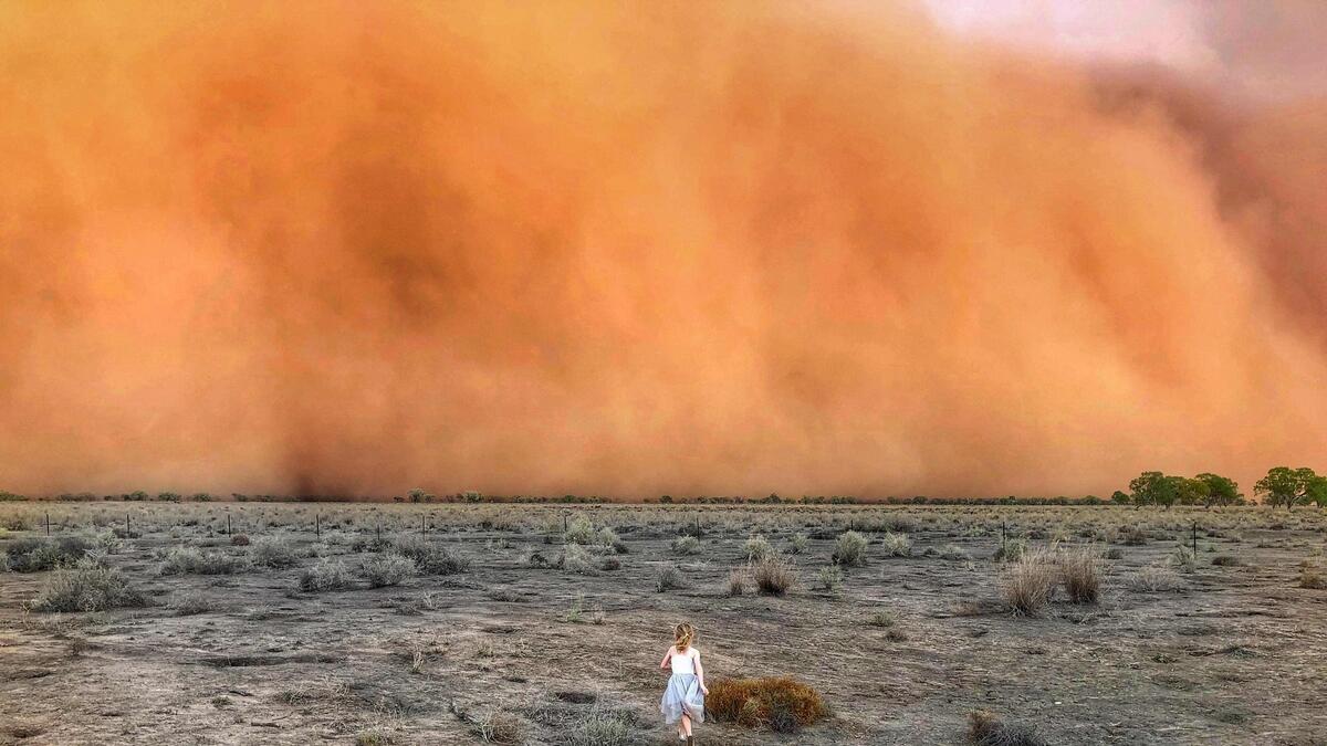 australia bush fires, dust storm, hail