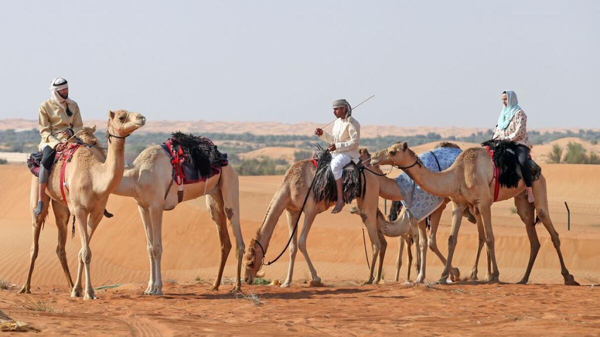  Keep calm and ride a camel in Dubai 