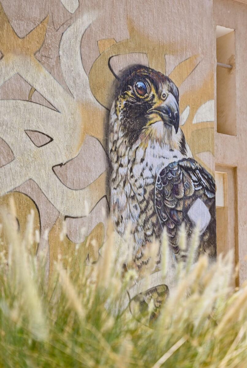 UAE’s majestic national Bird, the falcon, gracefully captured in a mesmerising mural at Ajman Heritage District