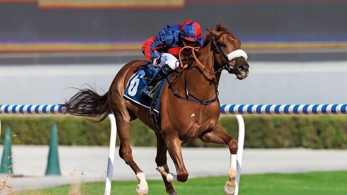 Like a duck takes to water: UAE Champion jockey Tadhg O’Shea pilots Royal Mews to victory in the Mina By Azizi Handicap, the feature race at Meydan on Sunday. — Dubai Racing Club