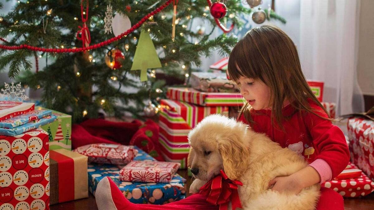 UAE residents warned against giving animals as Christmas gifts