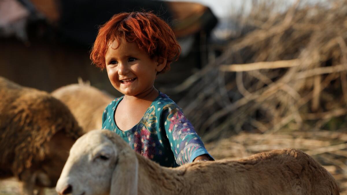 A girl reacts while she stands with sheep outside of her family tent along a cattle market, ahead of the Eid Al Adha festival, as the outbreak of the coronavirus disease (Covid-19) continues, in Peshawar, Pakistan. Photo: Reuters