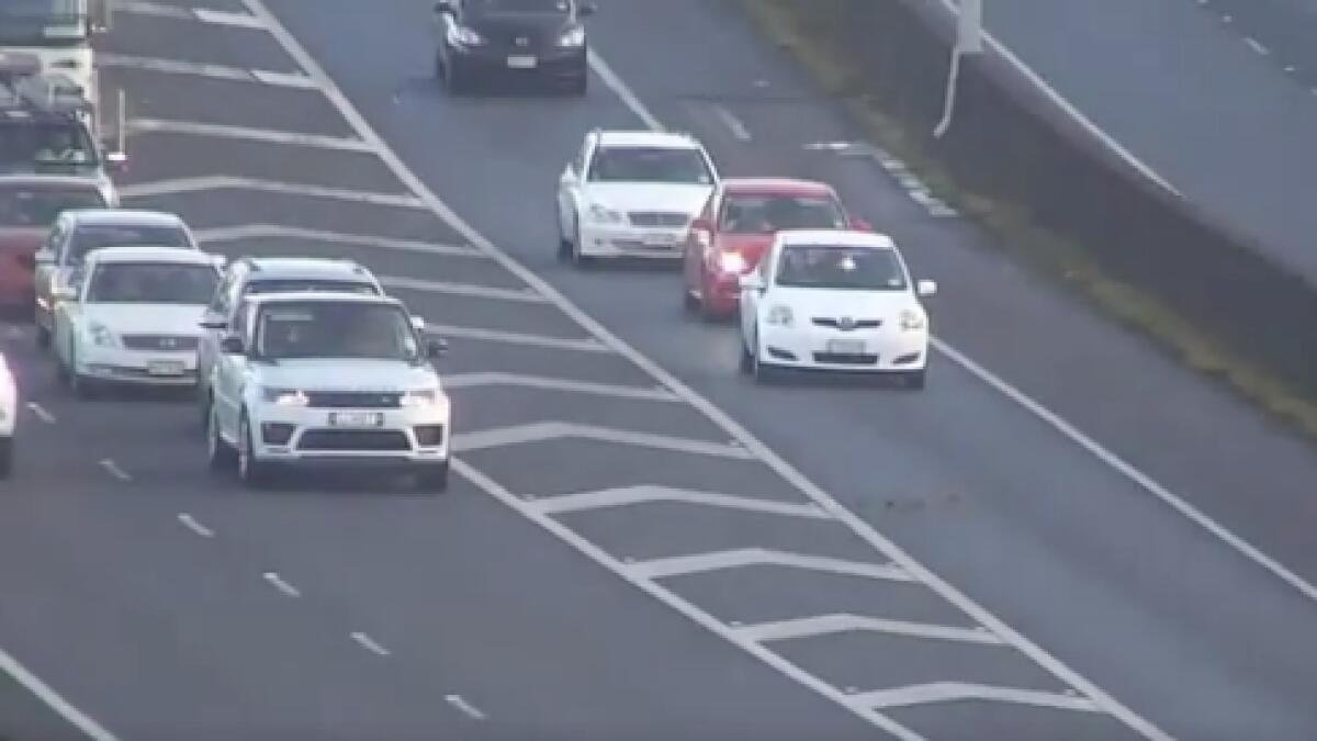 Video: Traffic comes to a grinding halt as ducks cross busy highway