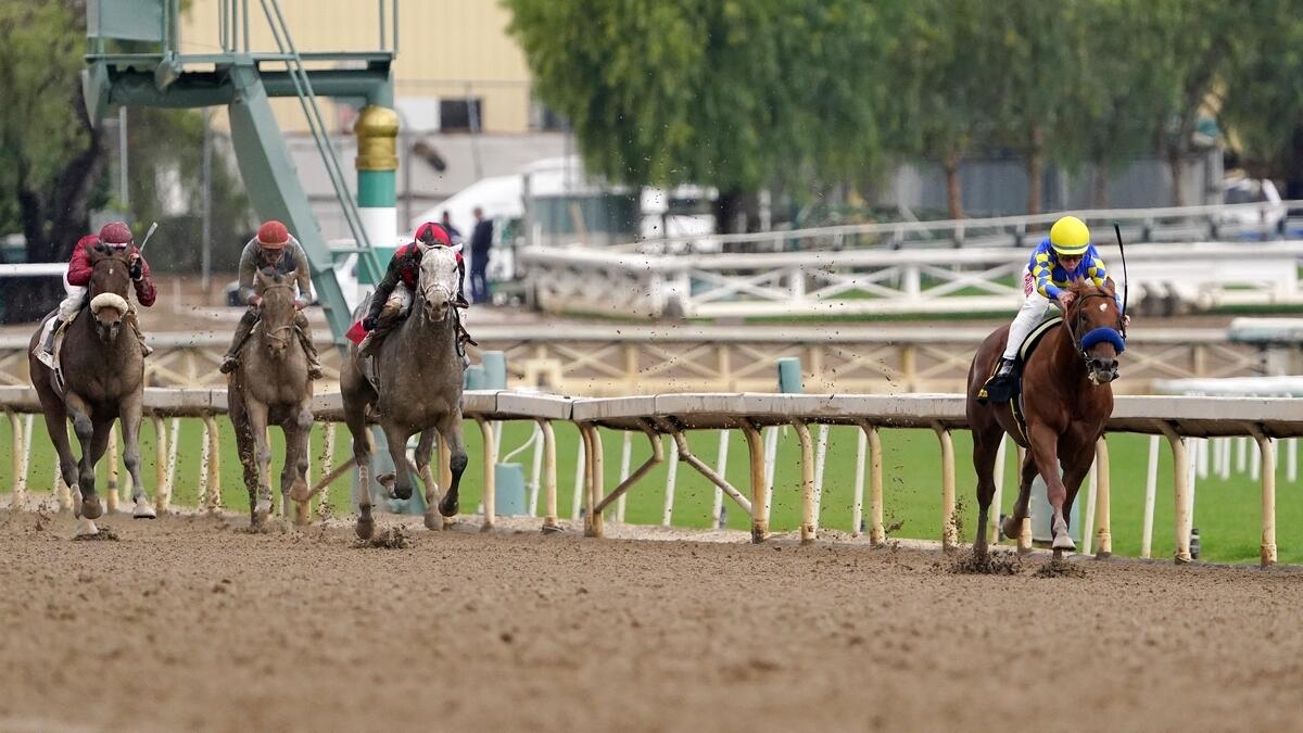 Charlatan (right) ridden by Drayden Van Dyke, runs ahead of the pack in the final stretch to win the sixth race at Santa Anita Park on Saturday. - AP