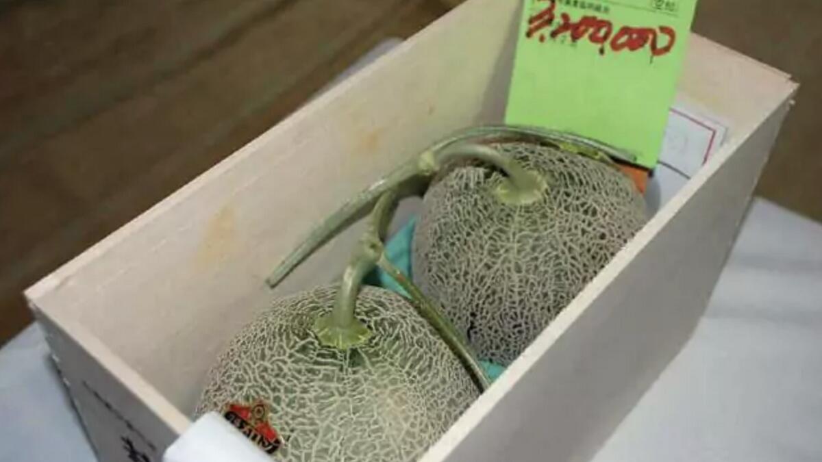Pair of premium melons sold for Dh107,427 in Japan 