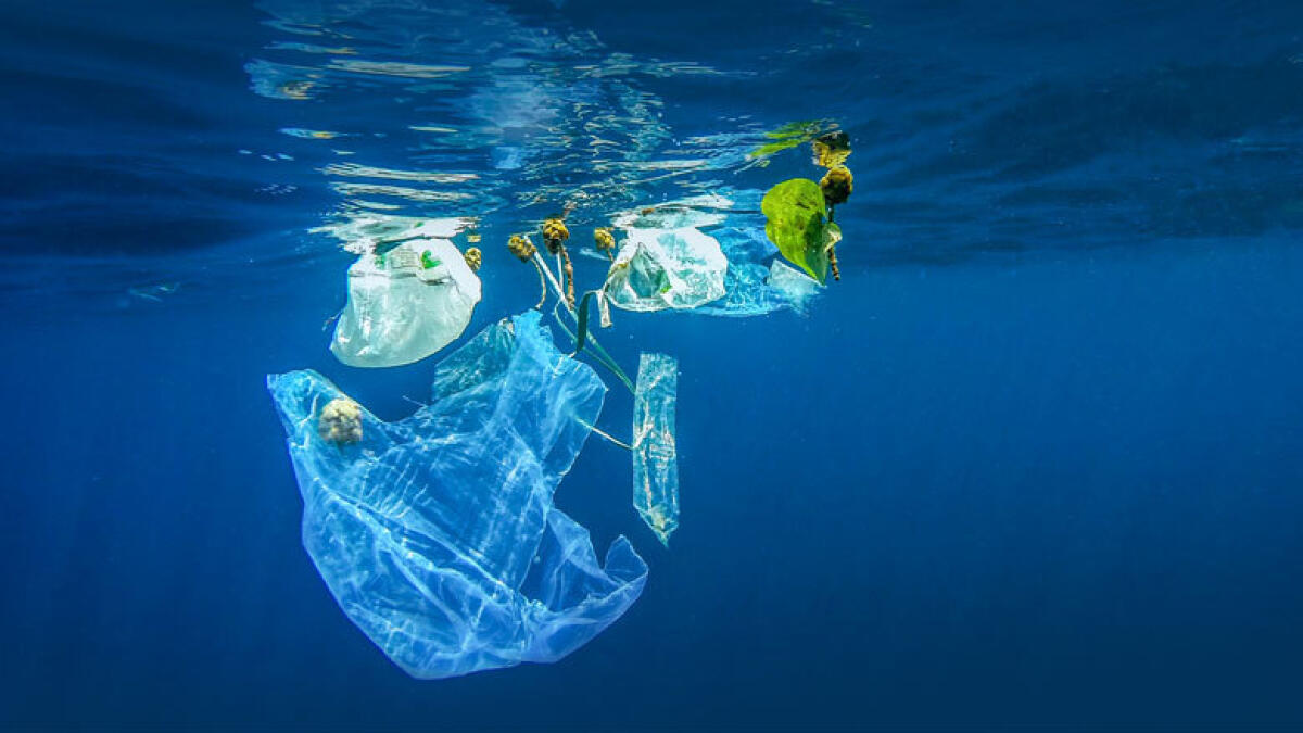 Go drastic on plastic waste in UAE