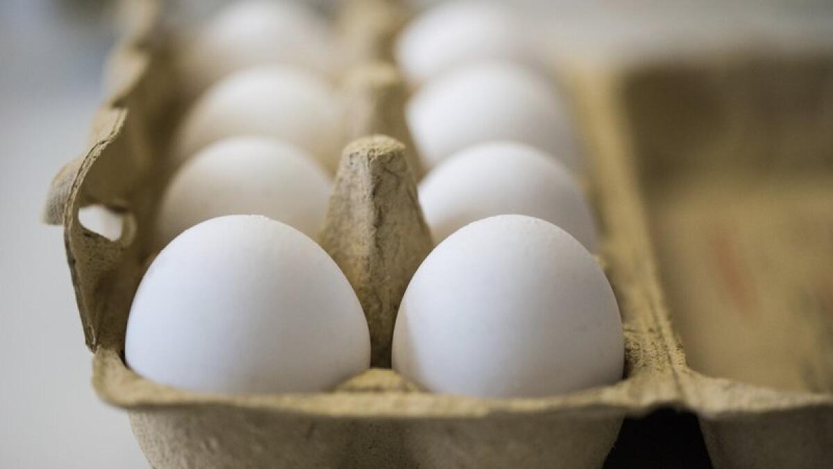 17 nations get tainted eggs, products in growing scandal