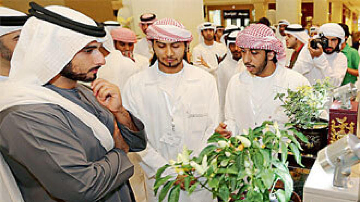 YEC 2013: Emirati youth exhibit skills