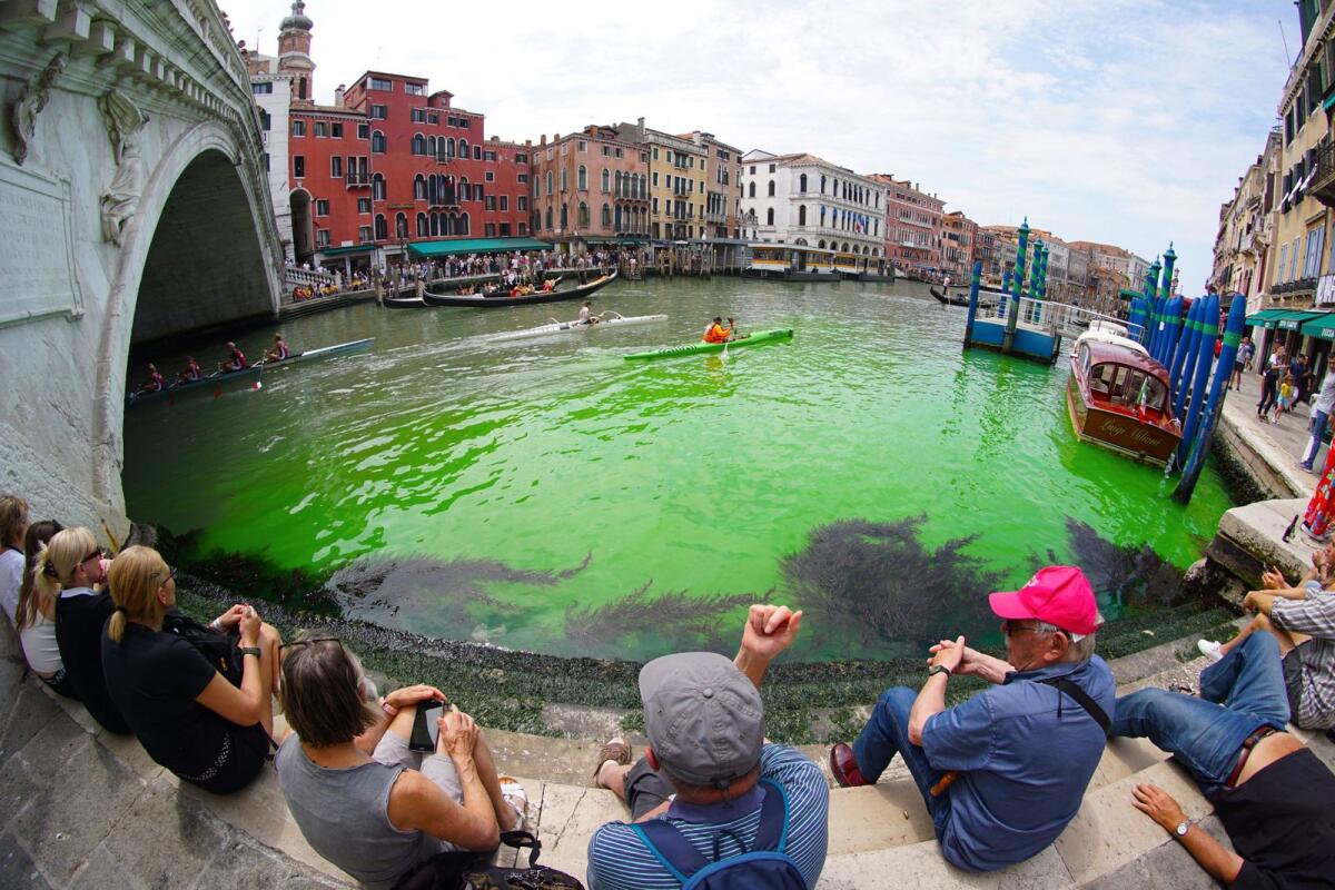 Fluorescent green waters below the Rialto Bridge in Venice's Grand Canal. — AFP