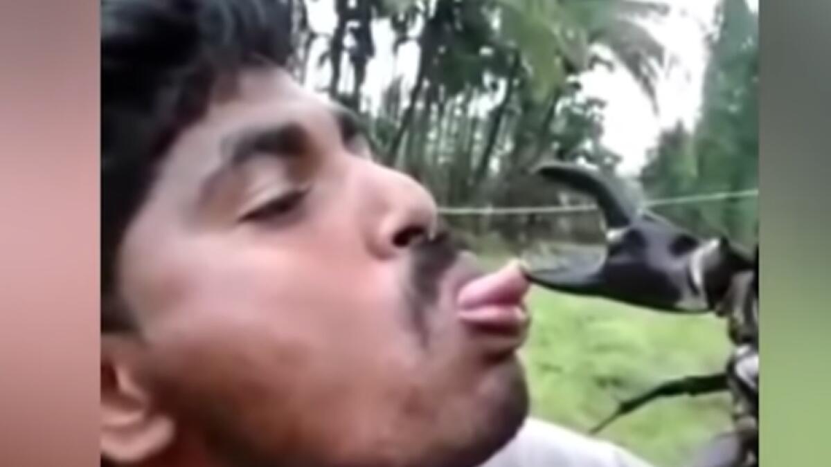Video: Stunt goes wrong as giant crab grabs mans tongue 