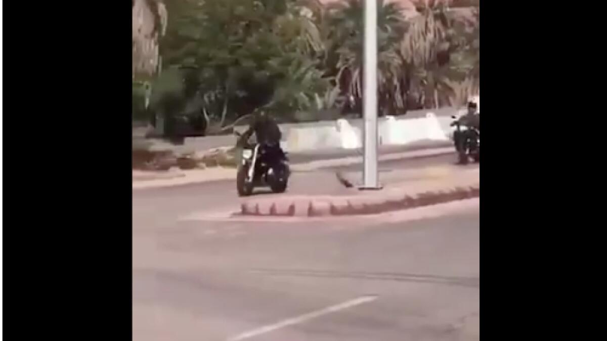 Video: Jordanian Crown Prince riding bike on roads of Saudi Arabia goes viral 