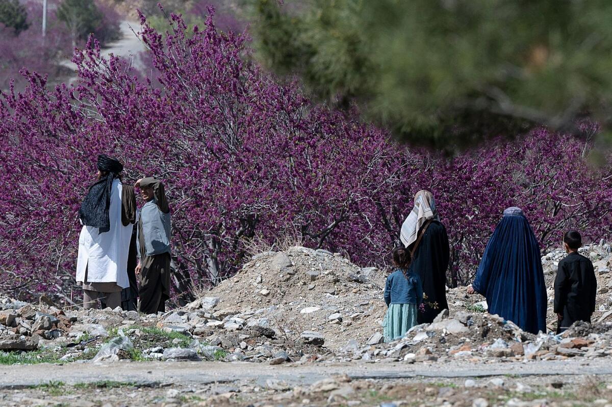 A Taliban (L), member of the Committee for the Prevention of Vice and the Promotion of Virtue, stops two women with children from visiting the Tap-e-Gul Ghundi recreational park in Charikar of Parwan Province on April 17, 2024. — AFP