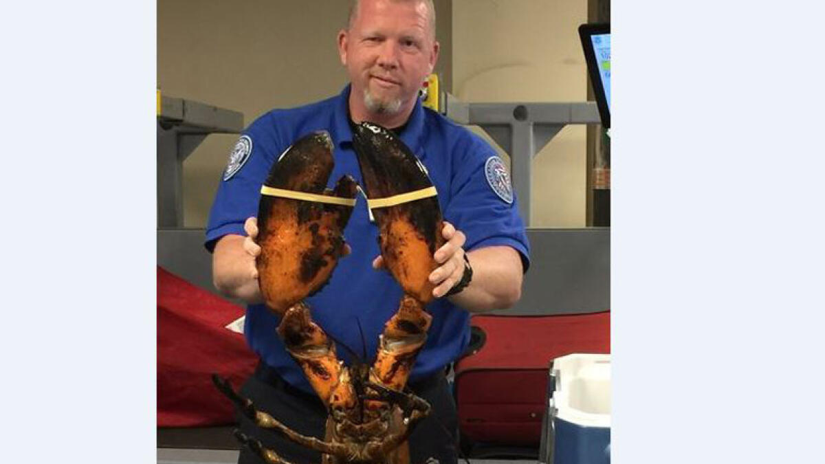 Airport security catches man trying to smuggle 9kg lobster onto plane