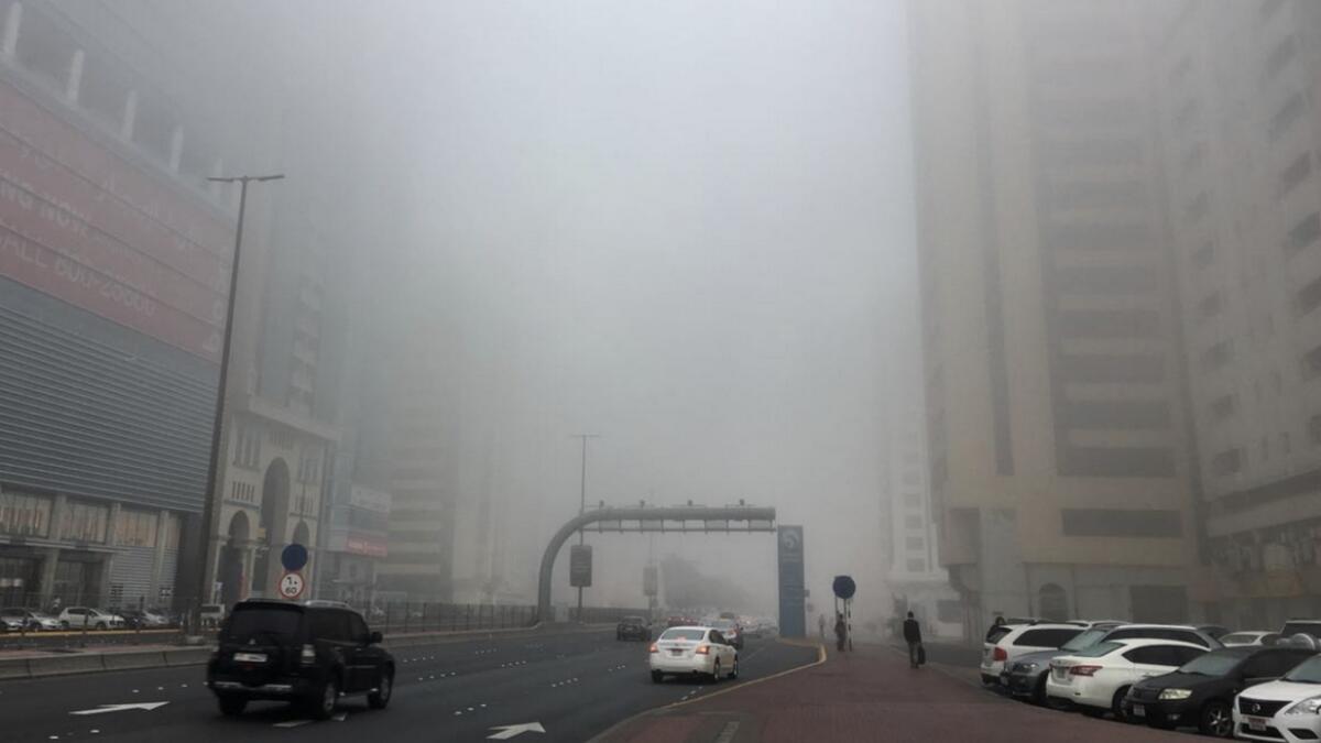 Video: Thick fog blankets UAE, motorists watch out