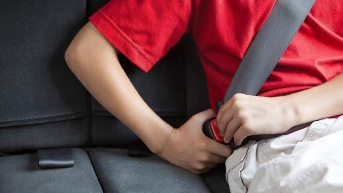 Less than 3 out of 10 buckle up in back seat: UAE poll