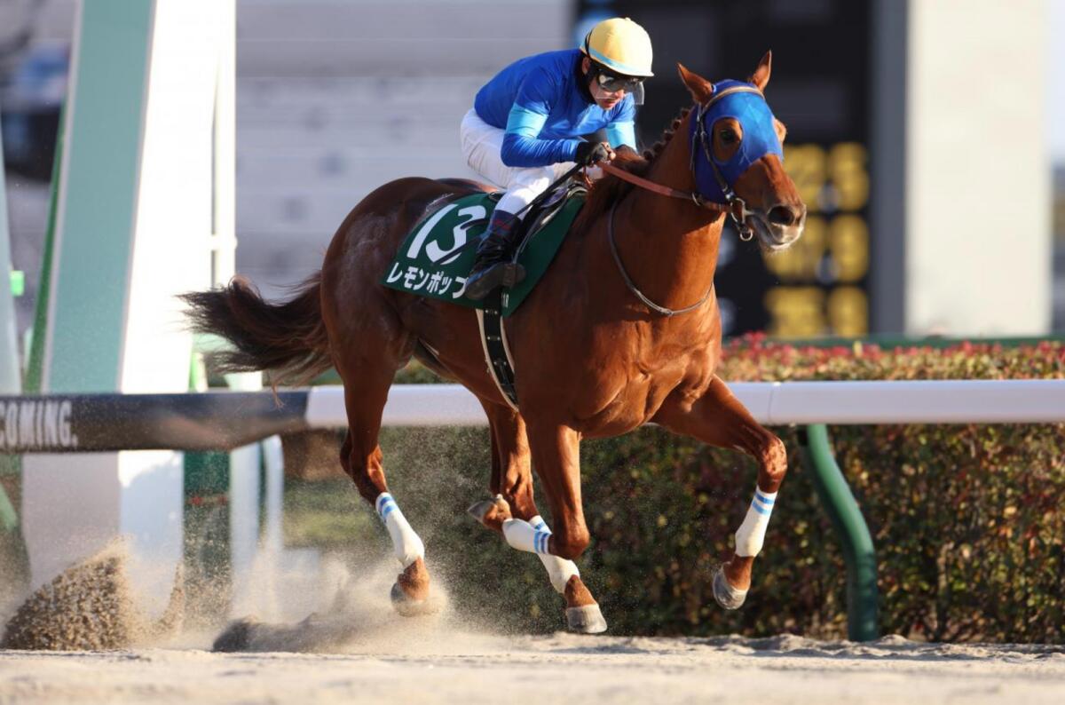 Lemon Pop recorded Godolphin’s first G1 of 2023 with an authoritative win over Red Le Zele in the February Stakes. — Godolphin