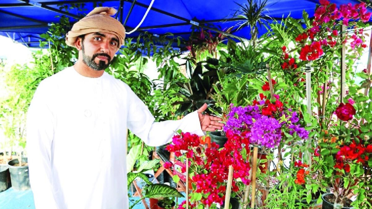 Emirati, gives, away, 4,600 Ghaf seedlings, flowers, UAE National Day, 