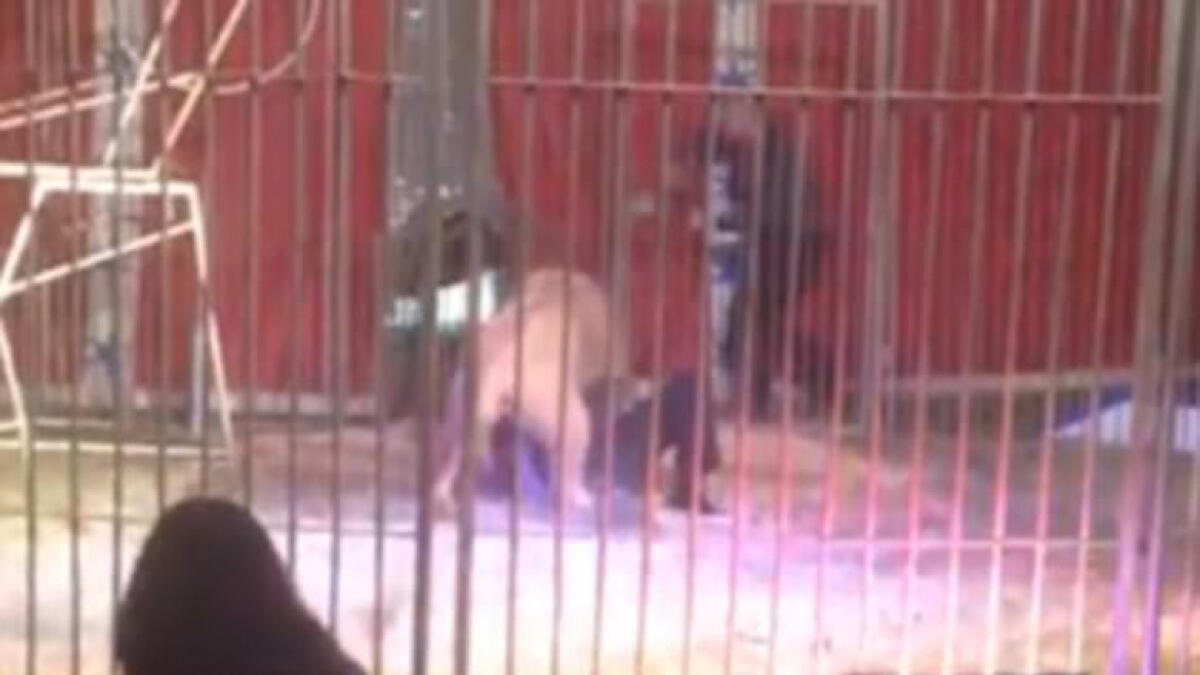 Video: When a lion nearly bit off mans neck during a show
