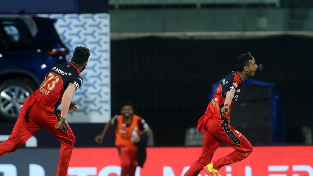 Royal Challengers Bangalore's Shahbaz Ahmed celebrates taking a wicket. — IPL Twitter