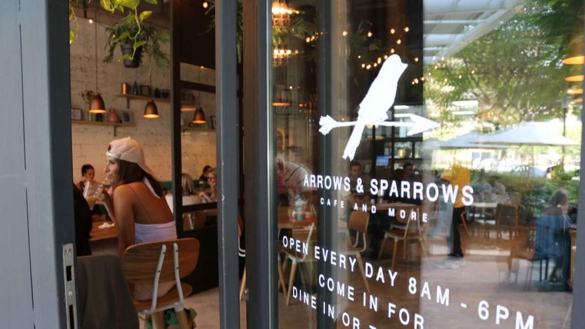 Review: Arrows & Sparrows