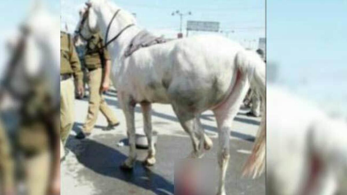 Heartbreaking video shows BJP MLA cruelly beating horse