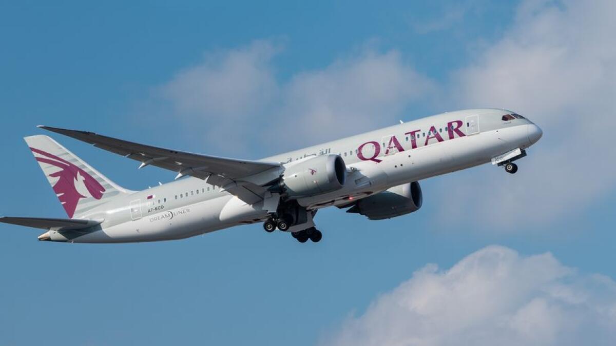 Bird strike forces Qatar Airways emergency landing in Turkey