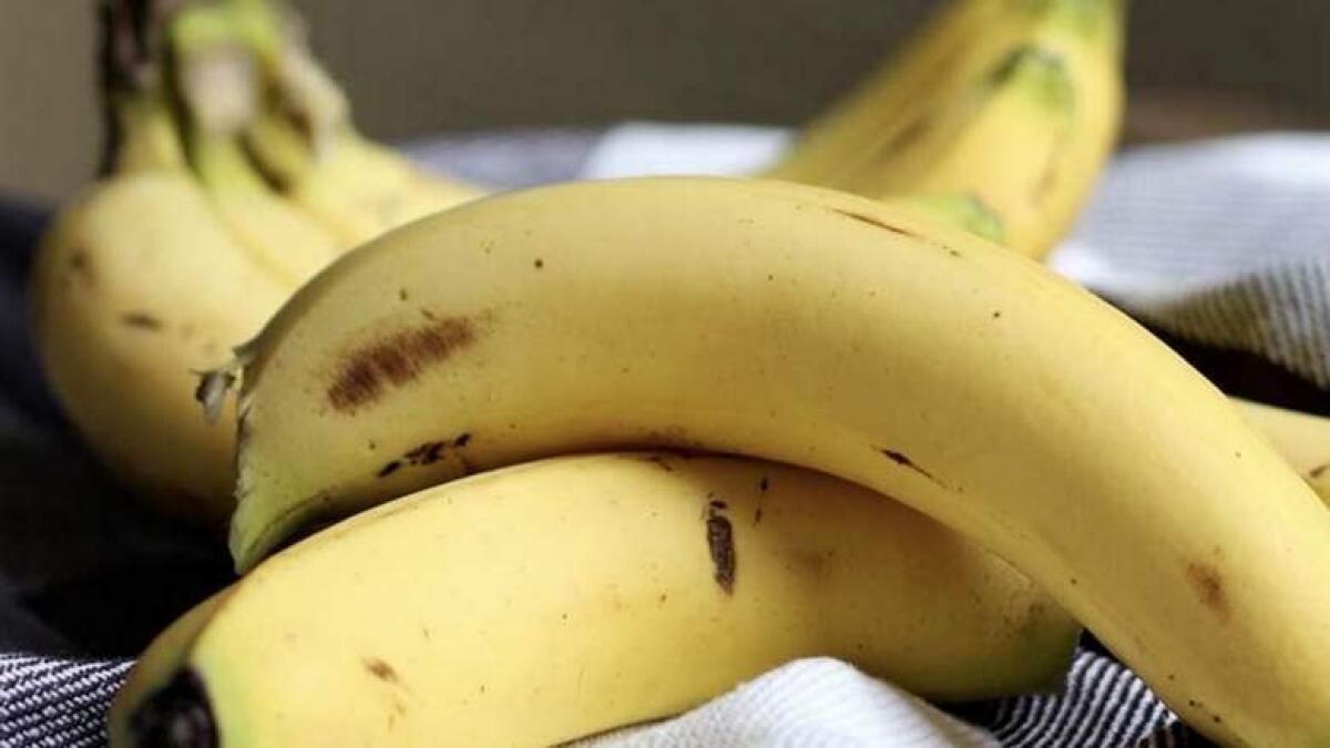 190kg cocaine worth Dh91 million hidden in banana shipment