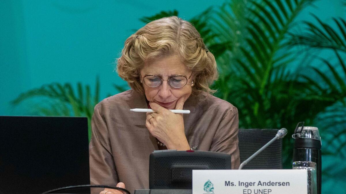 Inger Andersen, Executive Director of the United Nations Environment Programme. — AFP file