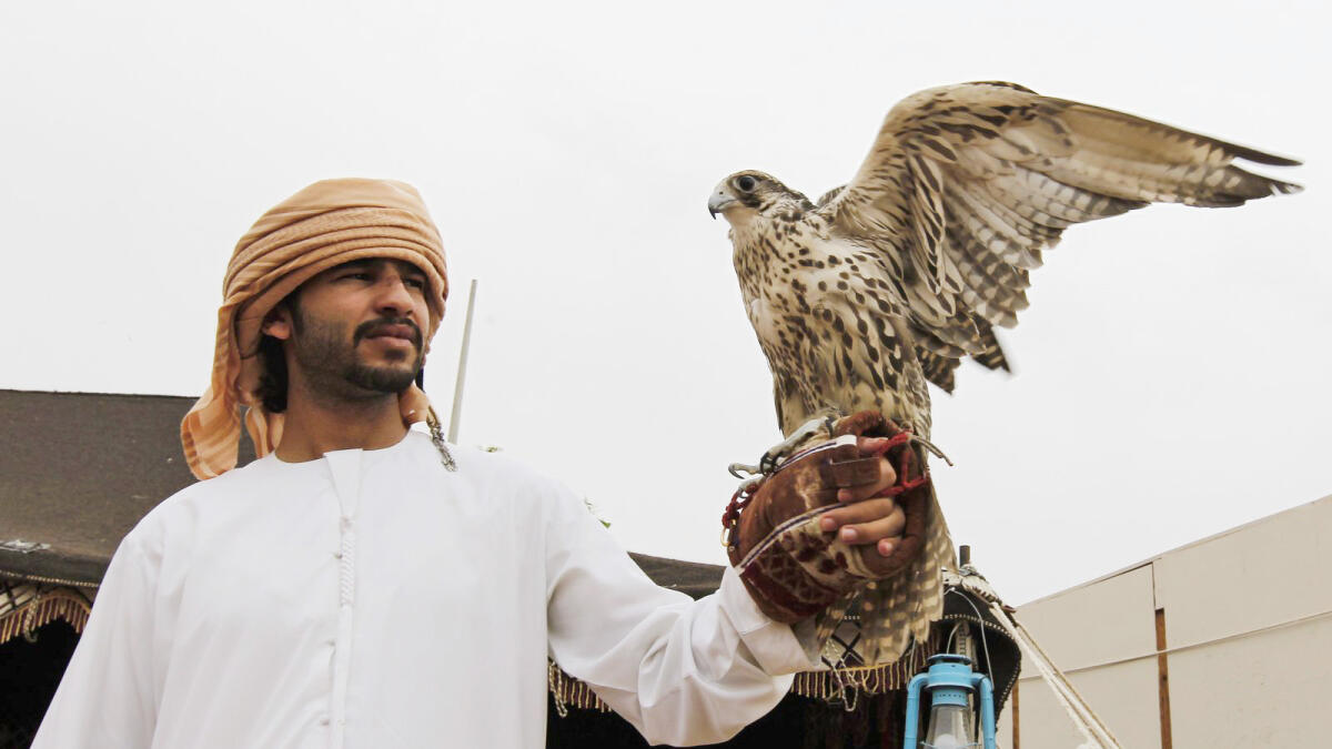 Falconry conference begins in Abu Dhabi