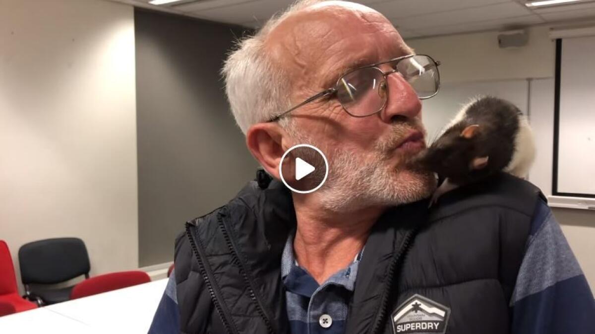 Video: Cops reunite homeless man with his pet rat