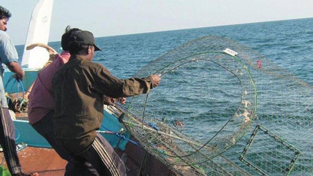 dibba, seize, fishing net, flouting rules