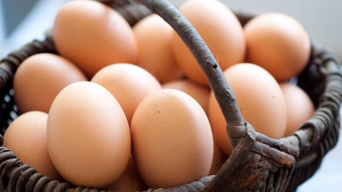 Dubai cracks down on bad eggs in safety campaign