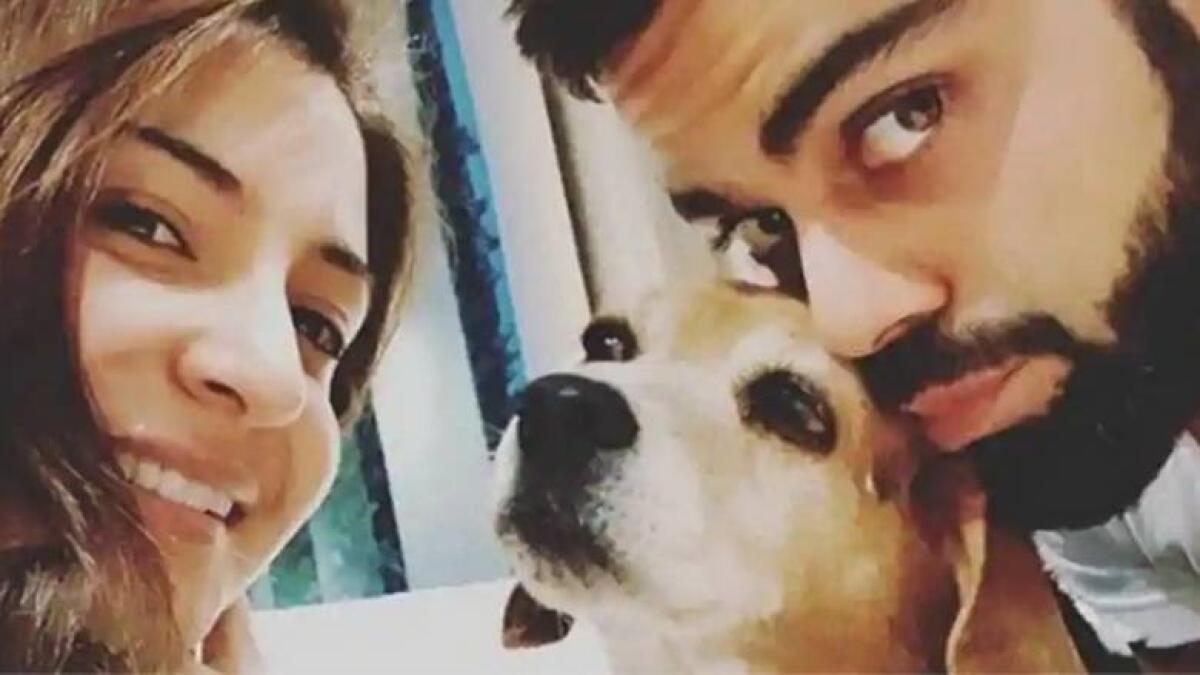 Indian skipper Virat Kohli and wife, actress Anushka Sharma, with their pet dog Bruno, who passed away last month. - Agencies