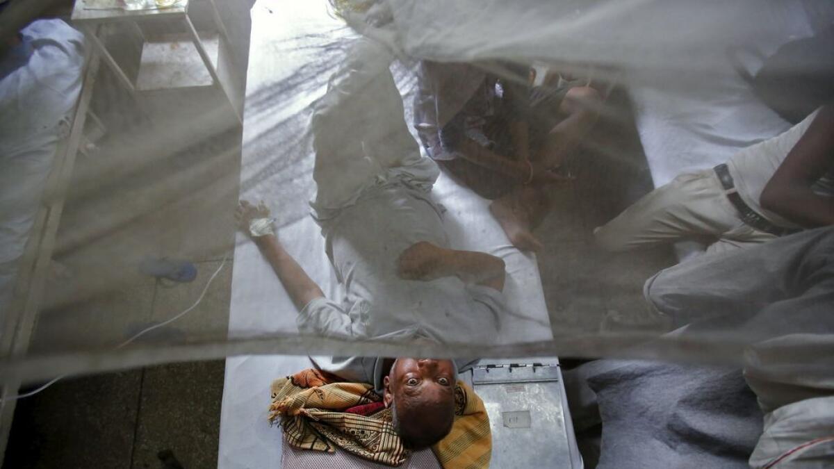 3,791 dengue cases in Delhi, death toll 17: Official