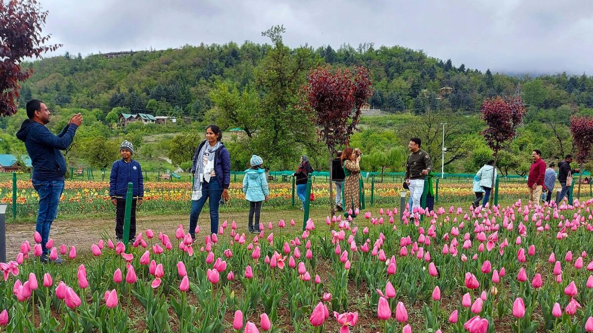 Tourists and locals visit the Indira Gandhi Tulip Garden overlooking Dal Lake in Srinagar. — PTI