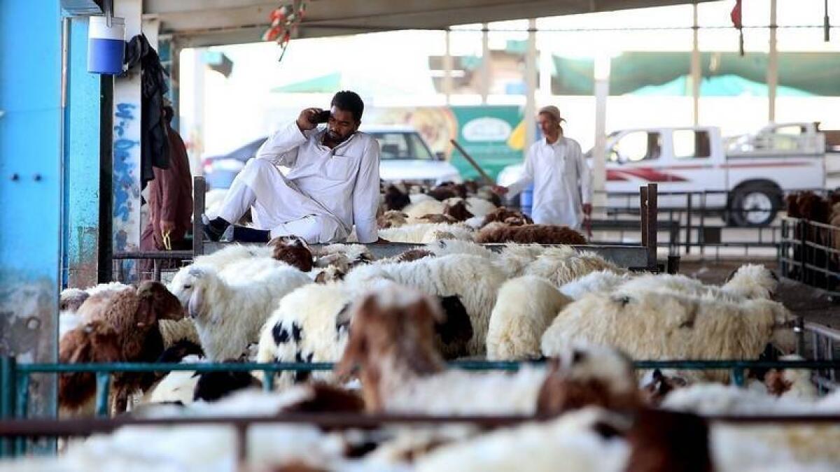 app, Eid Al Adha, sacrifice, meat, home-delivered, Dubai