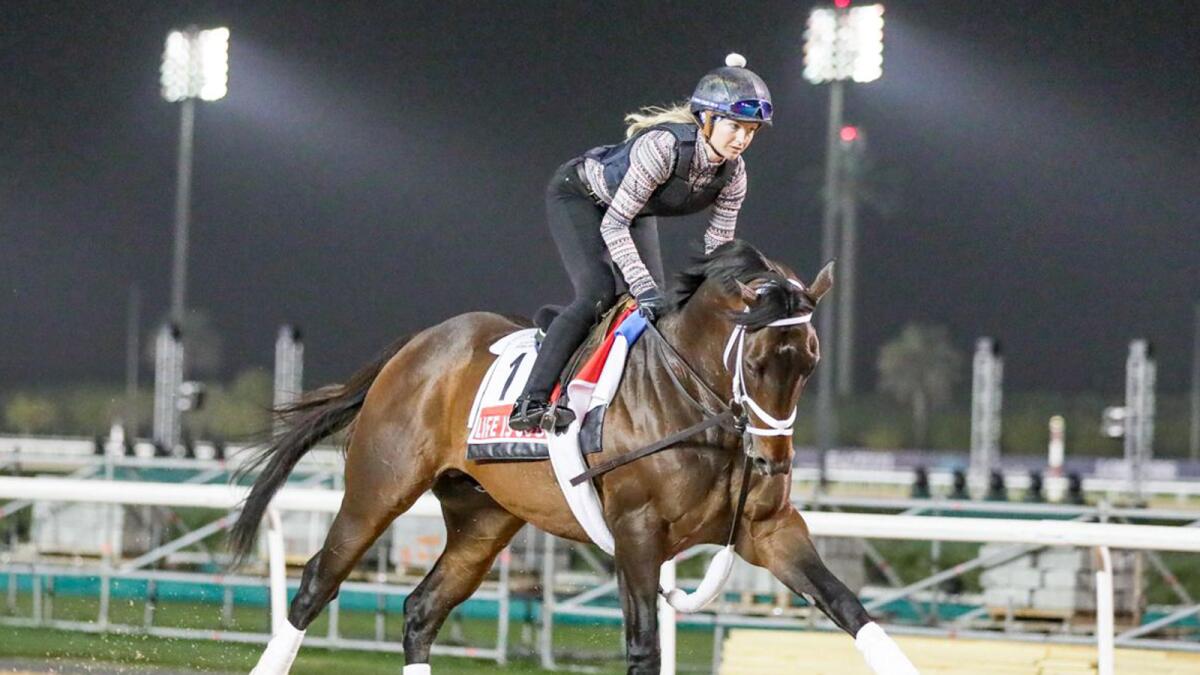 Life Is Good has won six of his seven starts going into Saturday night’s Dubai World Cup.