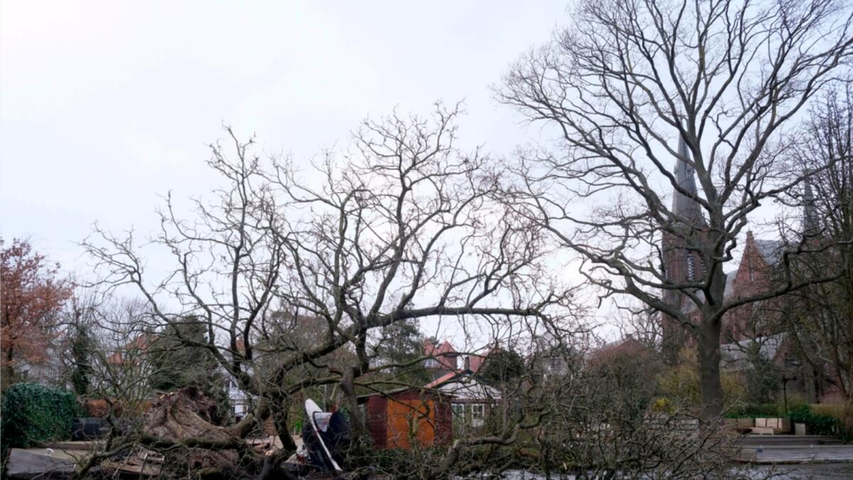 A boat hangs from a tree that was uprooted by storm Eunice in Voorburg, the Netherlands. — AP