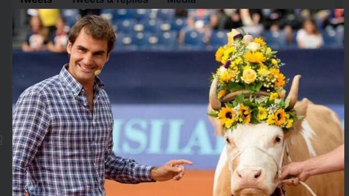 Indian cricket legend Sehwag salutes cow lover Federer  