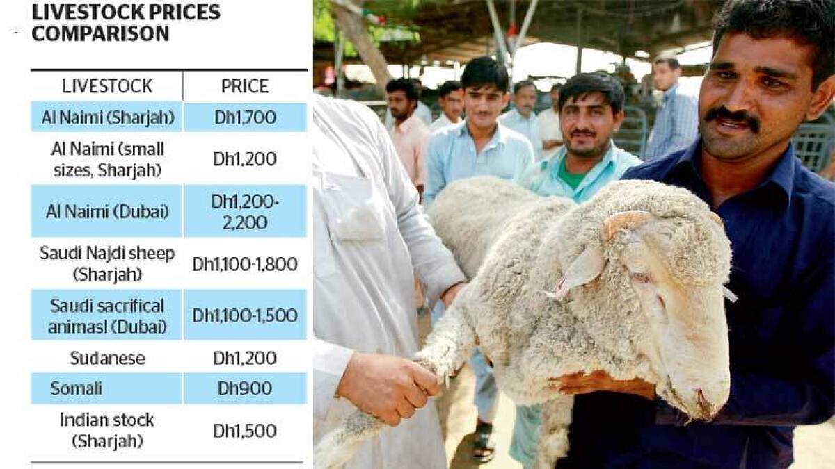 Shortage causes price hike on some livestock in UAE