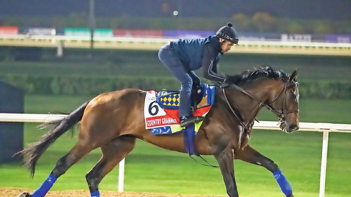 Country Grammer during trackwork at the Meydan Racecourse on Tuesday morning. — Dubai Racing Club