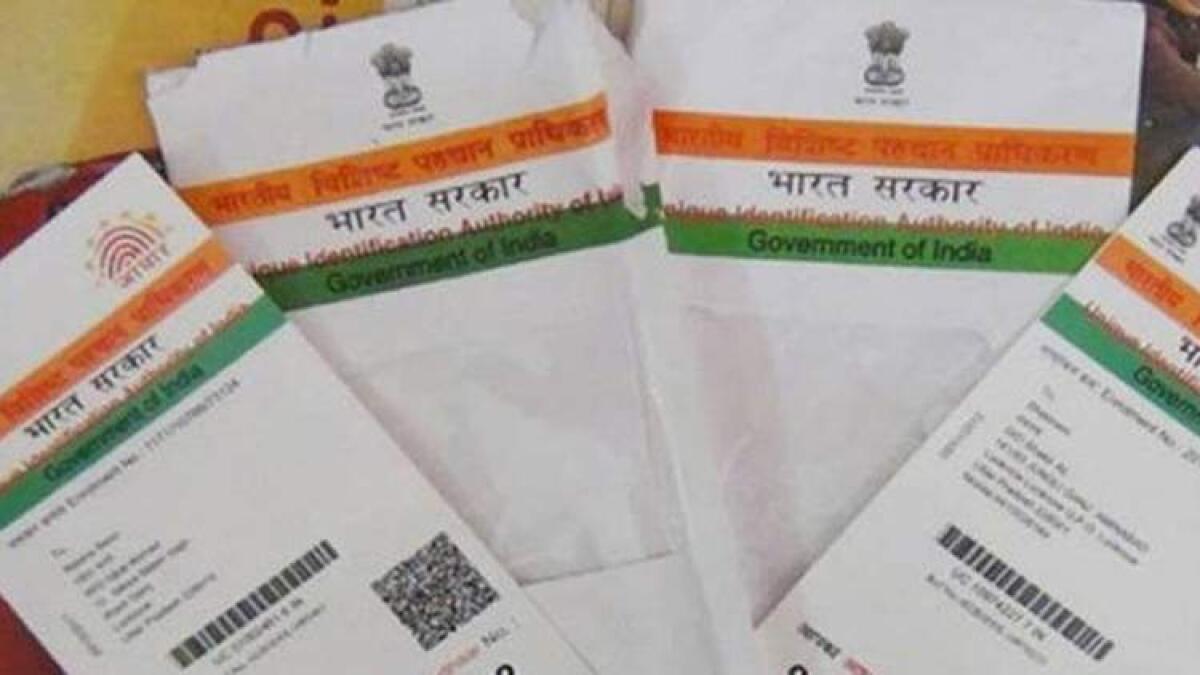 Indias ID system a huge success, critics barking up the wrong tree 