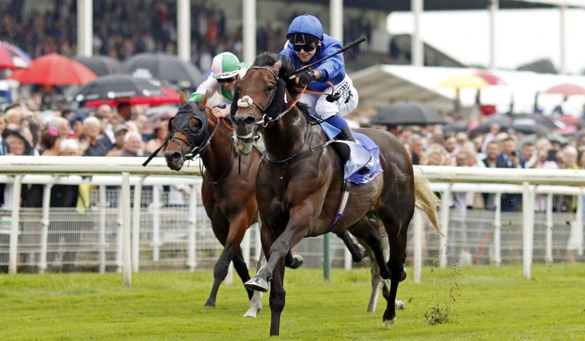 Real World, winner of the Strensall Stakes, looks to have strong claims in the $5 million Dubai Turf on Saturday. — Photo Godolphin website