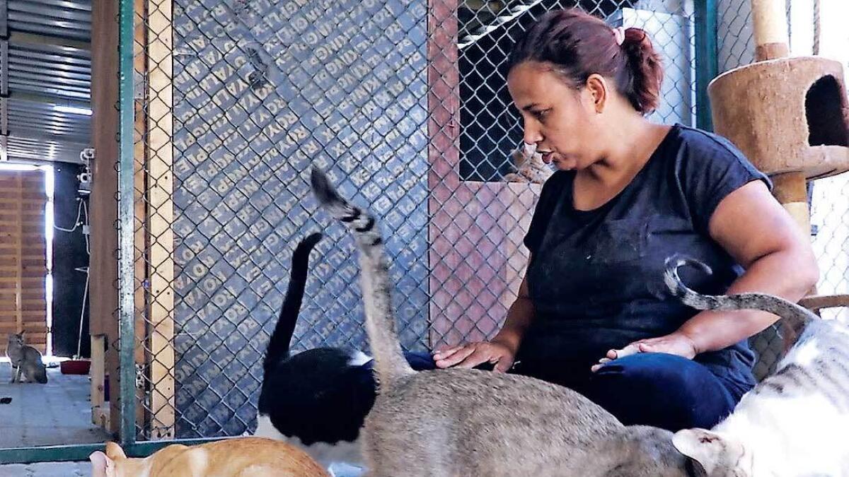 Michelle Francis has rescued nearly 4,000 abandoned animals since she started her charity work 15 years ago.— Photo by Rahul Gajjar