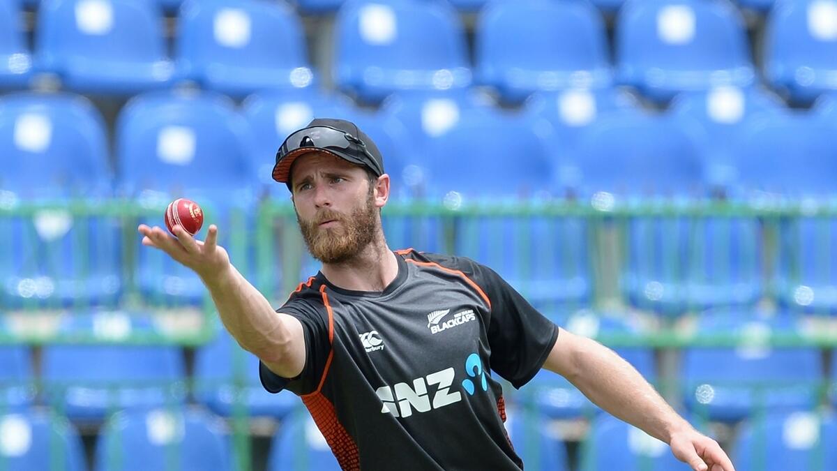 Williamson has retirement message for Dale Steyn