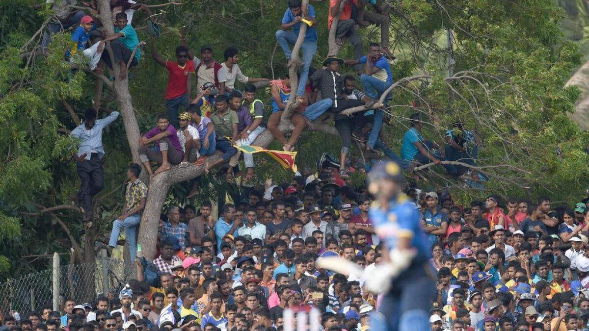 Cricket: Lankan cricket board apologises for crowd chaos in Dambulla