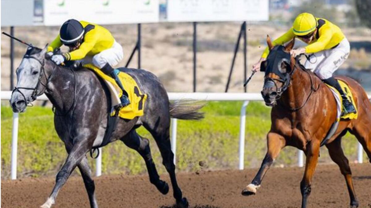 Action from the Jebel Ali Racecourse owned by Sheikh Ahmed. - Khaleej times. file