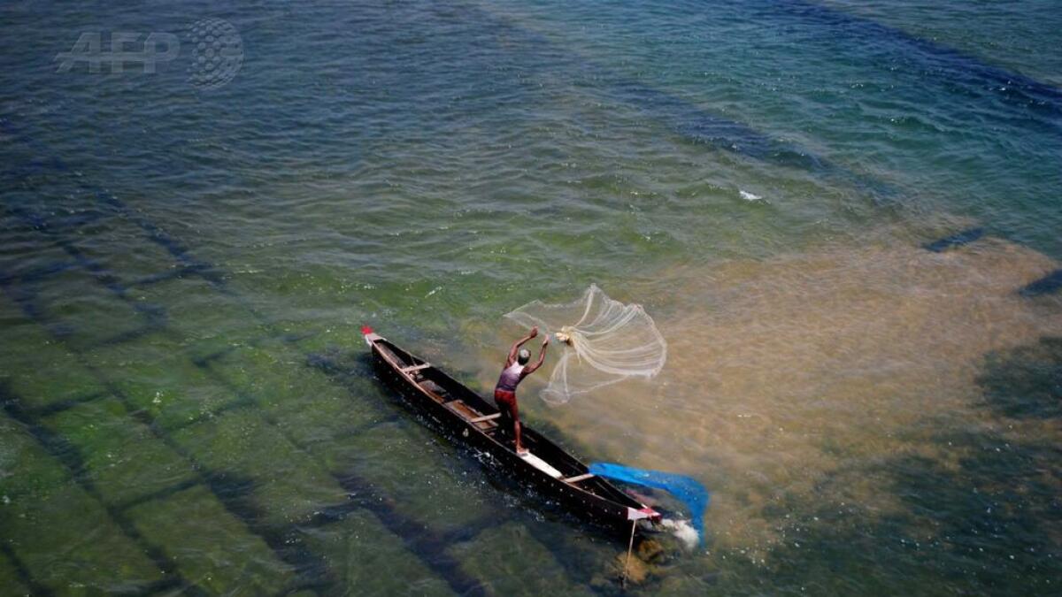 Omani fishermen catch fortune in a net