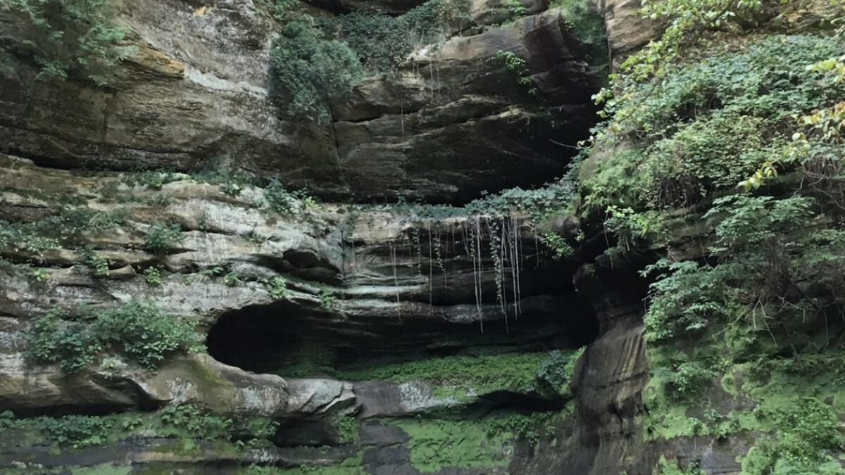 Man dies after 60-foot drop at Illinois state park waterfall 