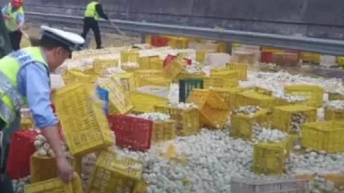 Video: 100,000 broken eggs on road in China after truck flips 